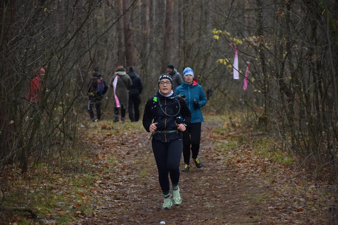 Sportowe emocje i rekordowa frekwencja na LoveLas 2024 [ZDJĘCIA] - Zdjęcie główne