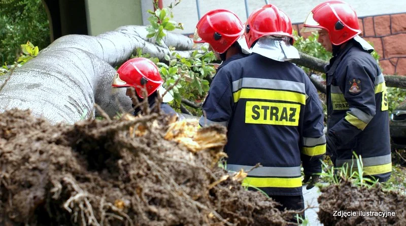 Straż Pożarna walczy ze skutkami silnego wiatru na Podkarpaciu