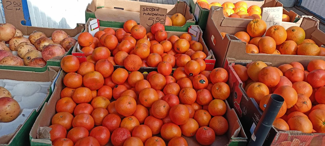 Rz24: Warzywa i owoce sezonowe przy hali targowej. Jak wypadają cenowo?
