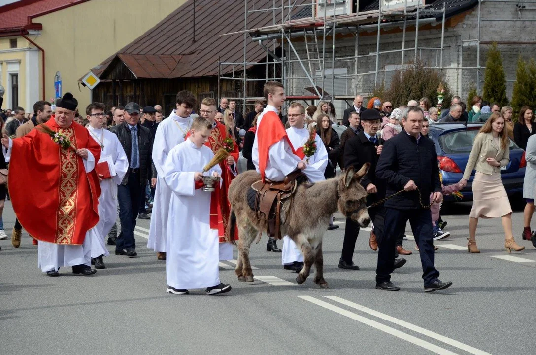 Przemarsz ulicami Raniżowa z żywym osiołkiem. Obchody Niedzieli Palmowej odbędą się w parafii [ZDJĘCIA] - Zdjęcie główne