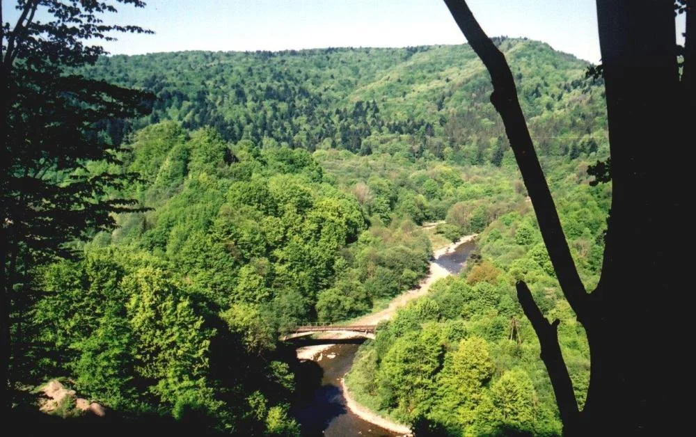 Dolina Osławy dostępniejsza i atrakcyjniejsza dla turystów - Zdjęcie główne