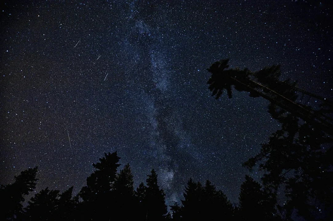 Noc spadających gwiazd. Nie przegap perseidów 2022. Sprawdź, kiedy je oglądać - Zdjęcie główne