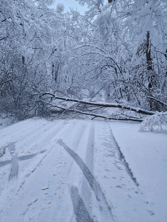 Interwencje straży pożarnych