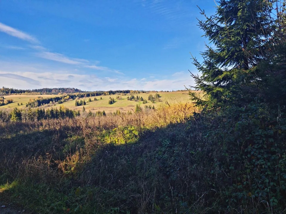 Bukowiec nad Sanem. Pejzaż