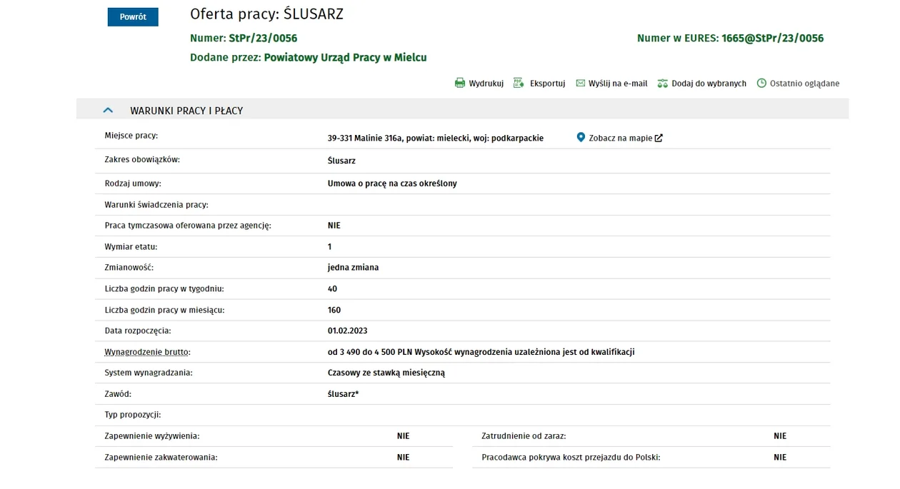 Szukają prezesa zarządu, jest oferta ze Służby Więziennej i wiele innych - propozycje pracy na Podkarpaciu