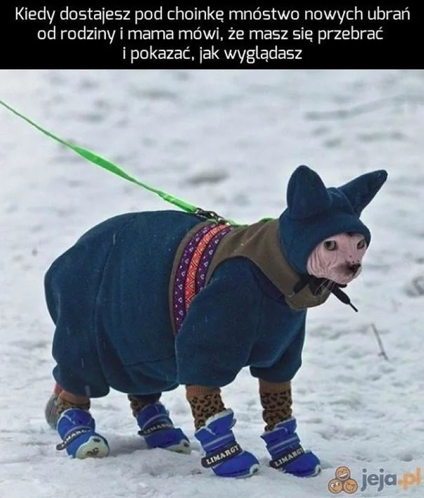 Memy na Święta Bożego Narodzenia