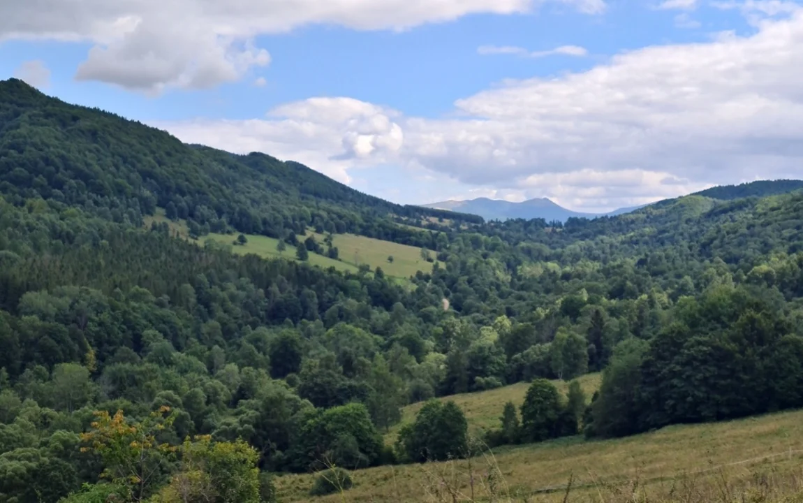 Caryńskie. Panorama na dolinę