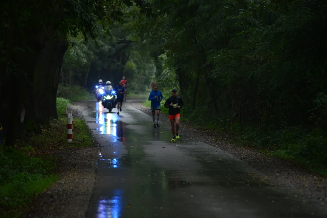 5. Bieg Szklarski Chmielów - Sandomierz - zdjęcia z biegu na dystansie 25 kilometrów