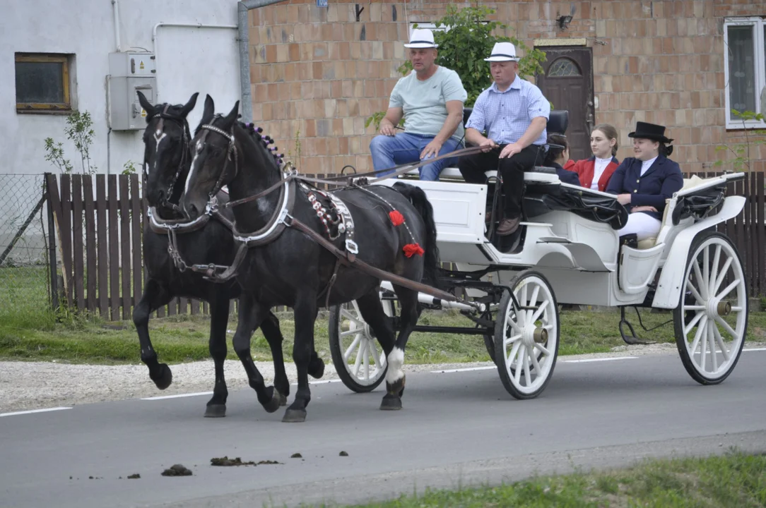 Parada konna w Żarówce