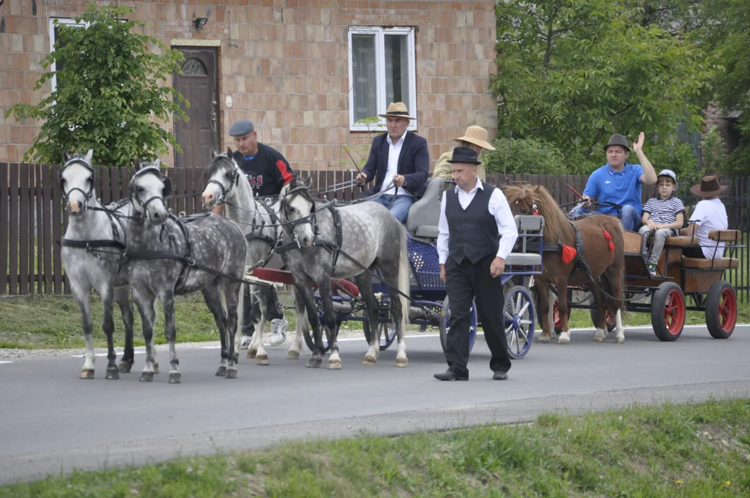 Parada konna w Żarówce