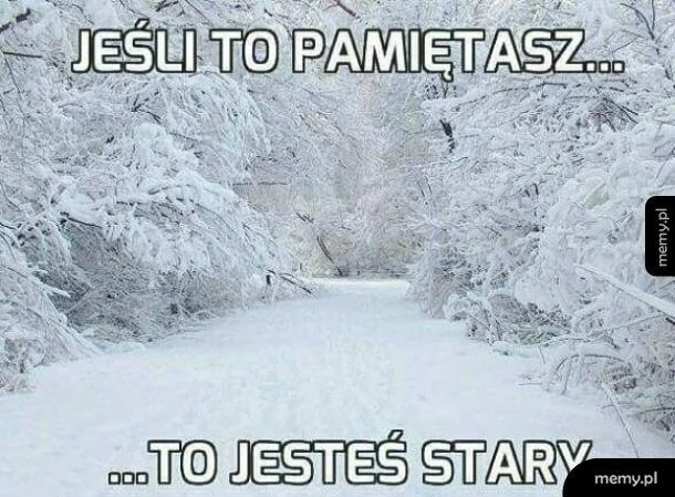 Memy na zimę