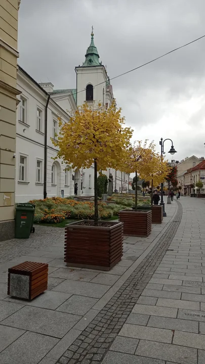 Jesienny Rzeszów. Złociste liście powoli pokrywają ulice [ZDJĘCIA]