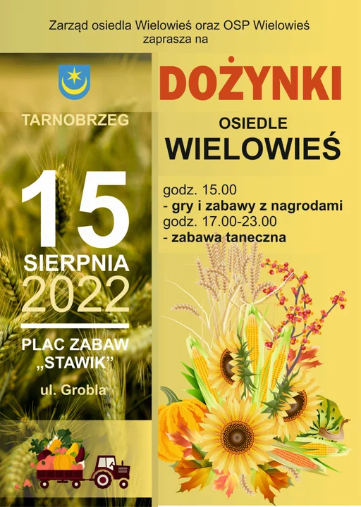 Dożynki na Podkarpaciu. Sprawdzamy, kiedy i gdzie bawią się mieszkańcy poszczególnych miejscowości - CZĘŚĆ 1