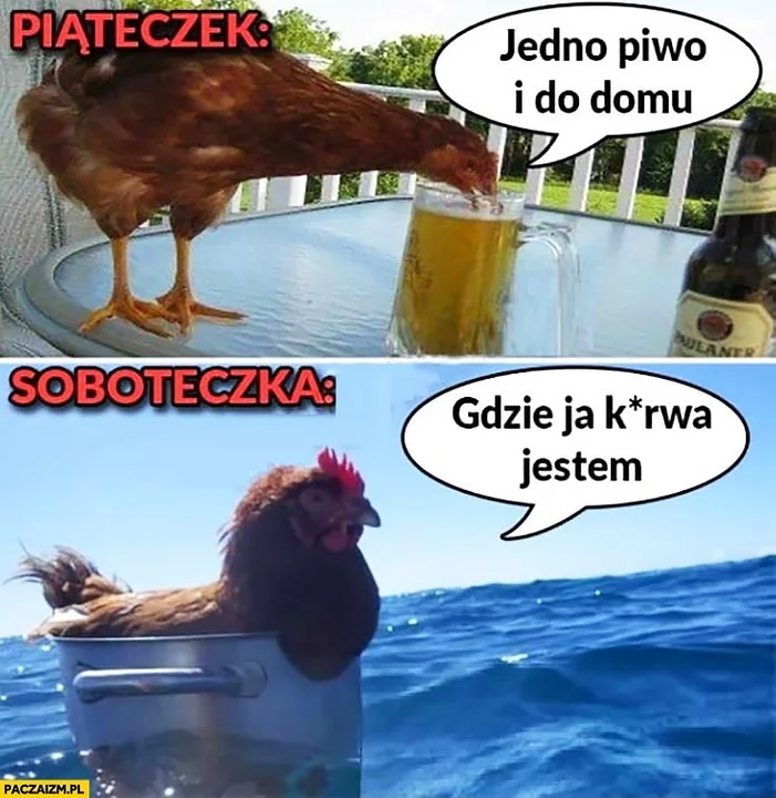 Dzień Piwa. Zobacz najlepsze memy