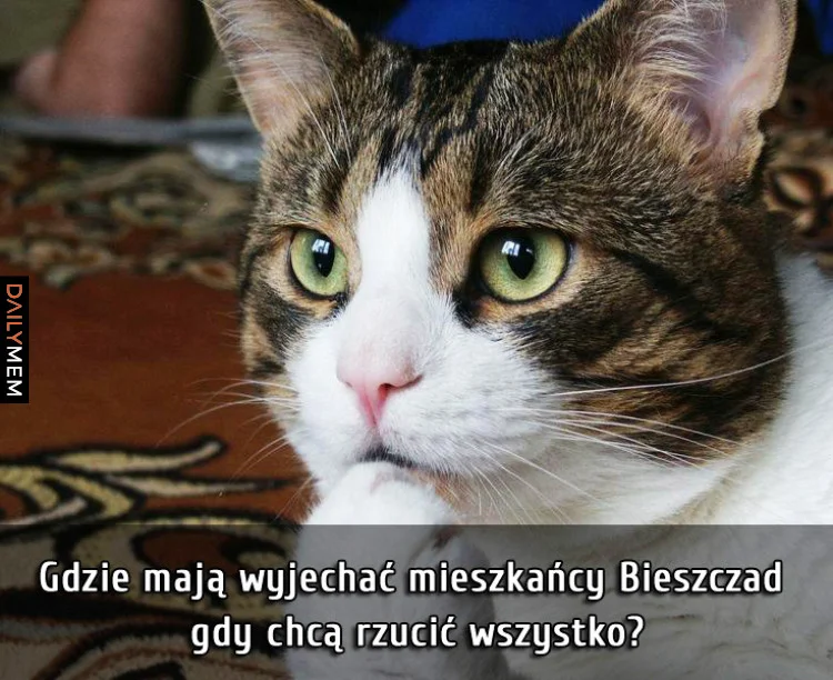 Memy o Bieszczadach