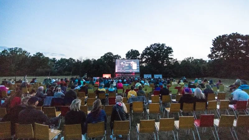 Mielec. Wakacyjny rozkład jazdy w kulturze [PLAKATY] - Zdjęcie główne