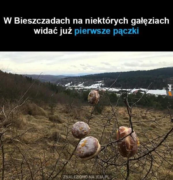 Memy o Bieszczadach