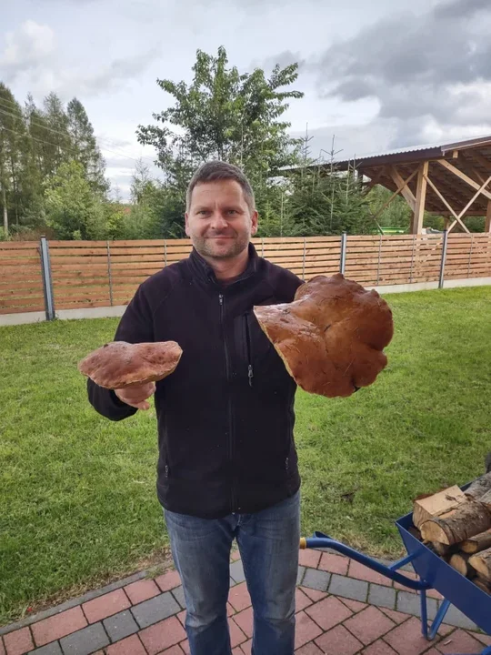 Zdjęcia naszych czytelników. Swoje okazy znaleźli w podkarpackich lasach