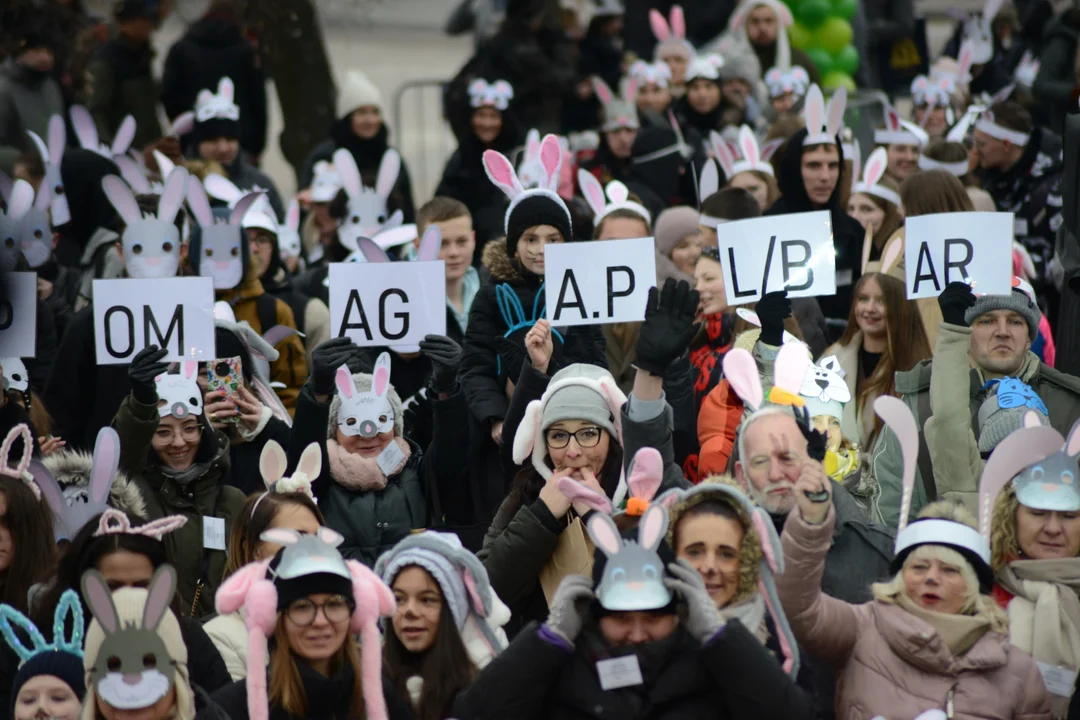 Rekord Polski dla Bartoszka Jędrasika chorego na SMA. W Tarnobrzegu zgromadziło się ponad 500 osób przebranych za króliki