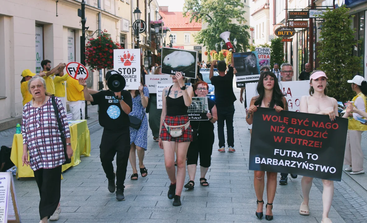 Protest przeciwko zabijaniu zwierząt na futra na rzeszowskim Rynku