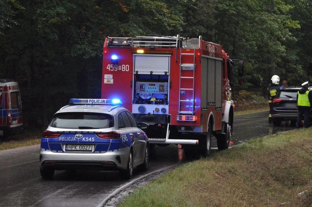 Do wypadku doszło na drodze w kierunku Kamionki.