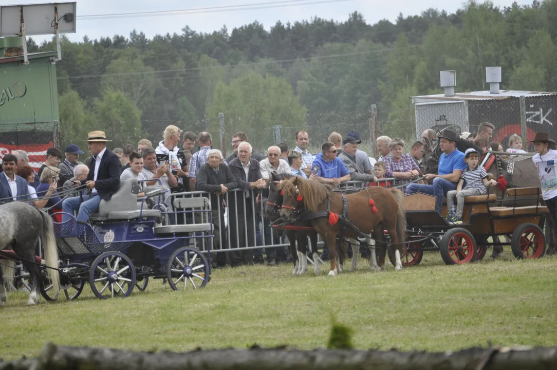 Parada konna w Żarówce