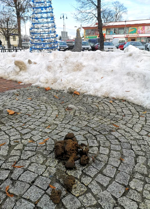 Końskie łajno na rynku w Kolbuszowej