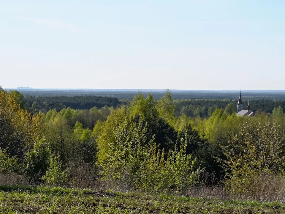 Z Ostrów Tuszowskich będzie widać Tatry. Powstać ma wieża w tarasami widokowymi [ZDJĘCIA] - Zdjęcie główne