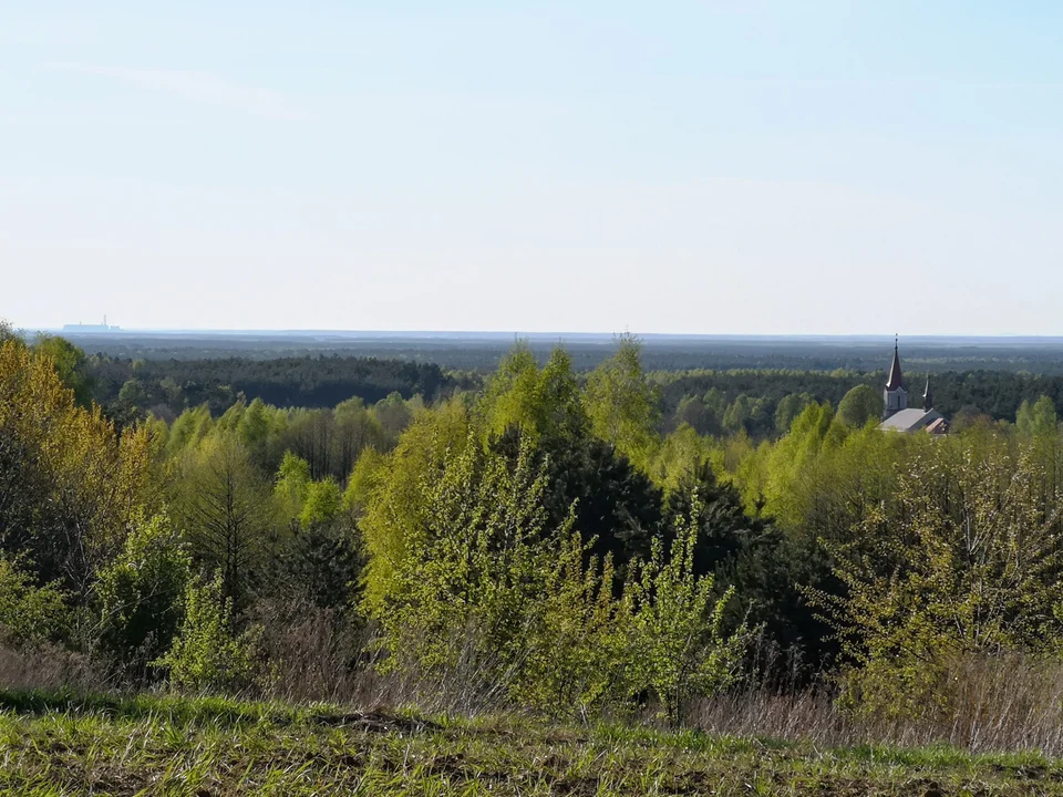 Punkt widokowy w Ostrowach Tuszowskich