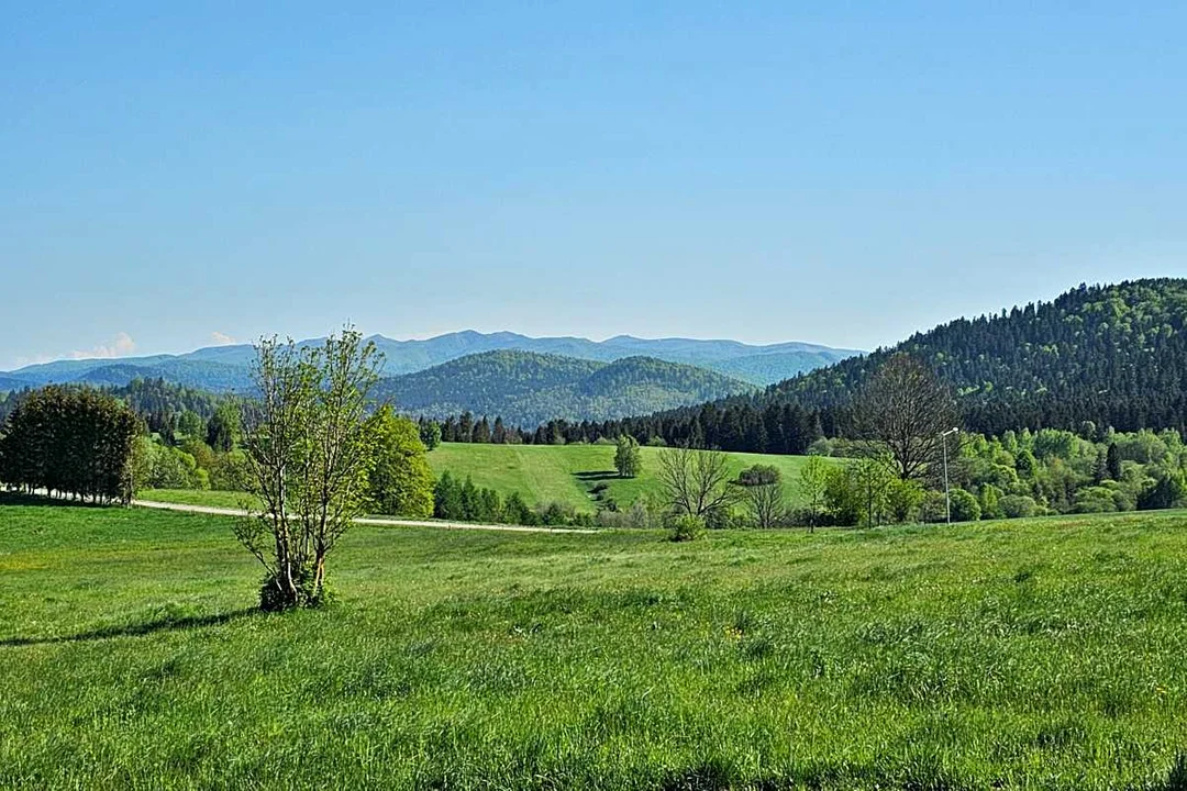 Panorama z jednego z punktów widokowych