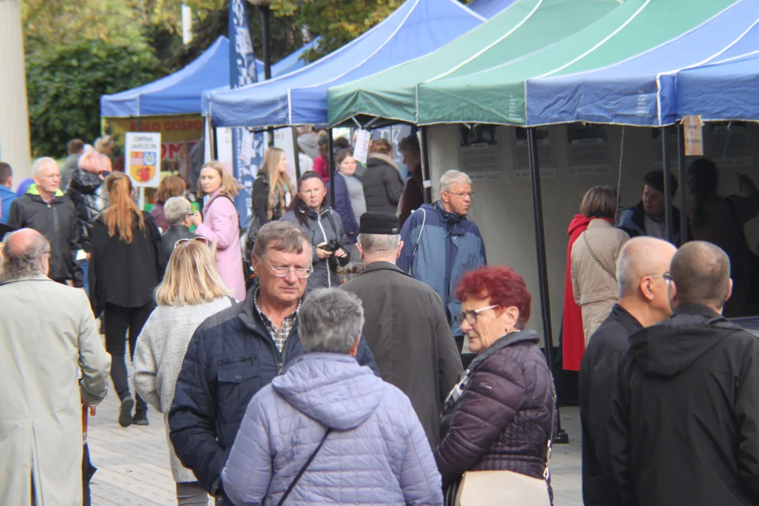 II Festiwal Kultury Lasowiackiej w Stalowej Woli