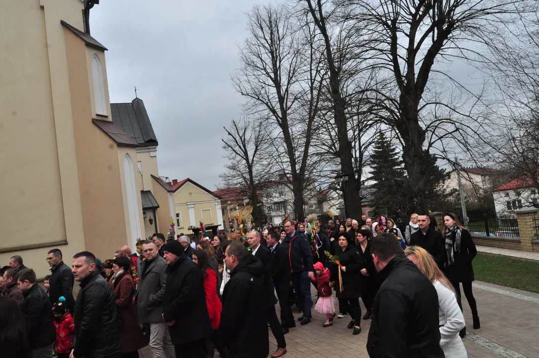 Parafianie w Przecławiu świętowali z pięknymi palmami własnego wykonania