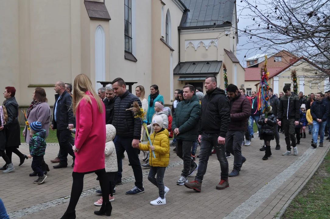 Parafianie w Przecławiu świętowali z pięknymi palmami własnego wykonania