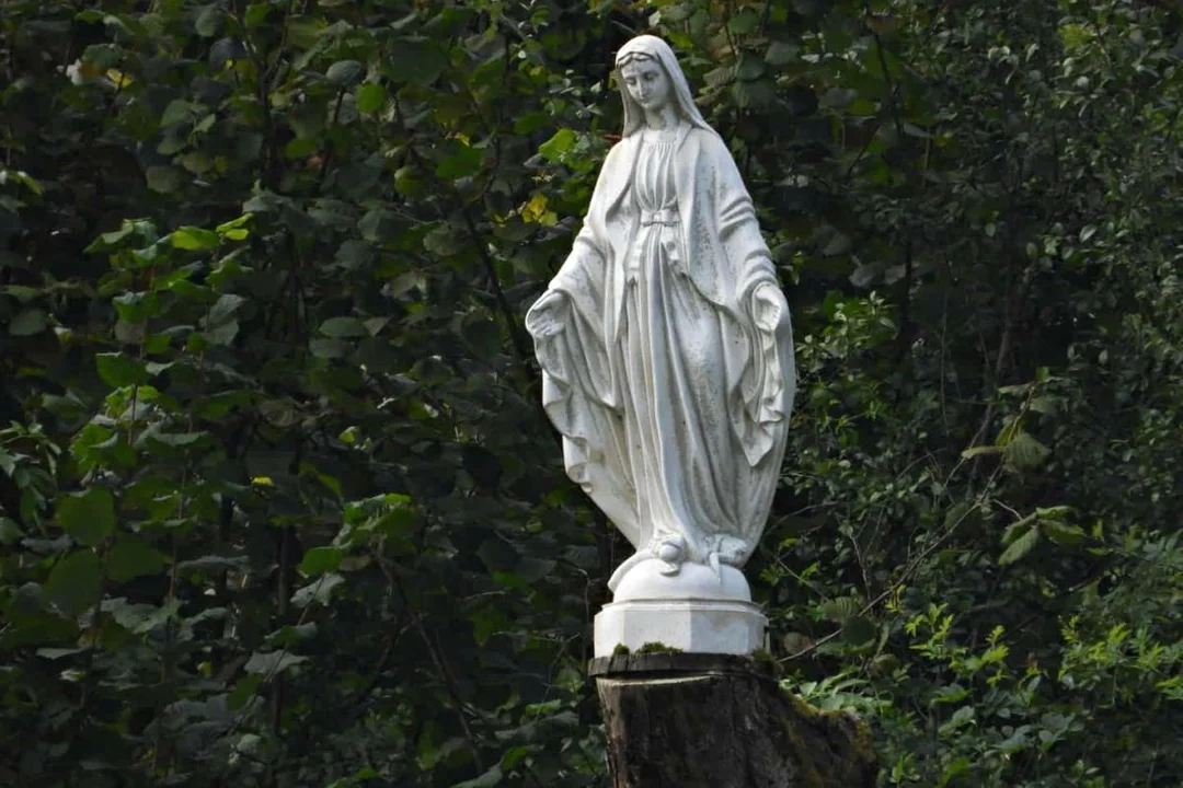 Łopienka