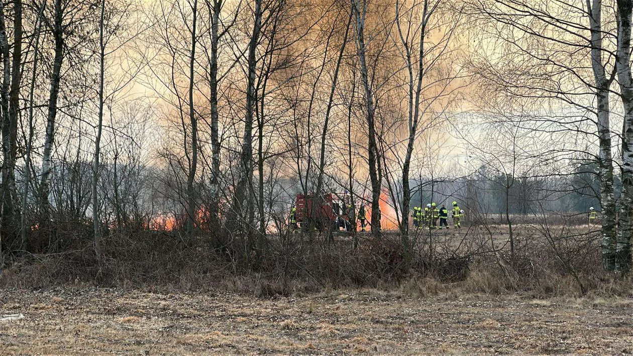 Pożary traw i lasów w powiecie kolbuszowskim w marcu 2025