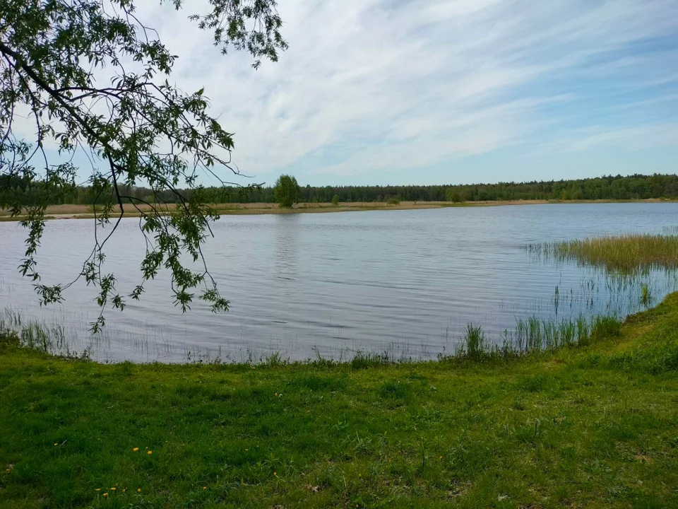 Wizja lokalna z mieszkańcami na terenie Stawów Cyranowskich