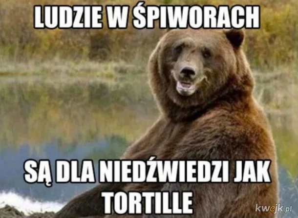 Memy o Bieszczadach