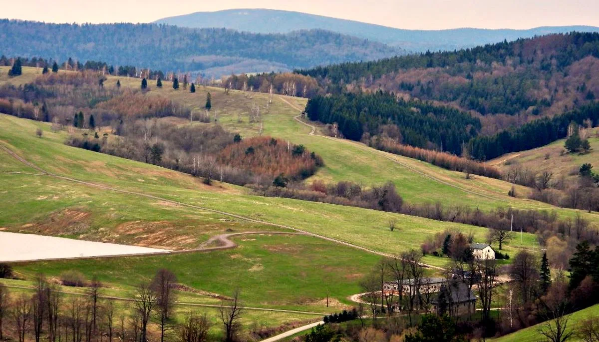 Widok na Żernicę