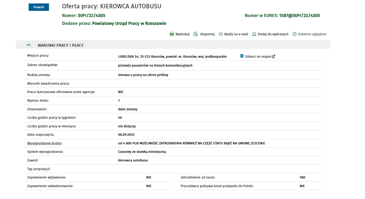 Najnowsze oferty pracy na Podkarpaciu. Od kucharzy po kierowców i nie tylko. Sprawdź, gdzie możesz znaleźć zatrudnienie