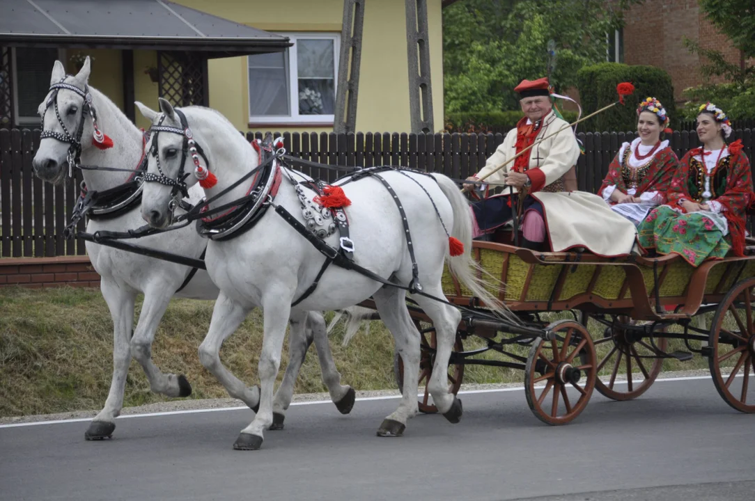 Parada konna w Żarówce