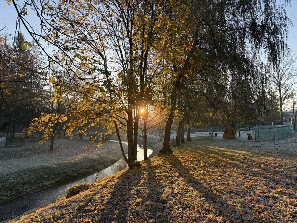 Zimny poranek i złote słońce nad Bieszczadami