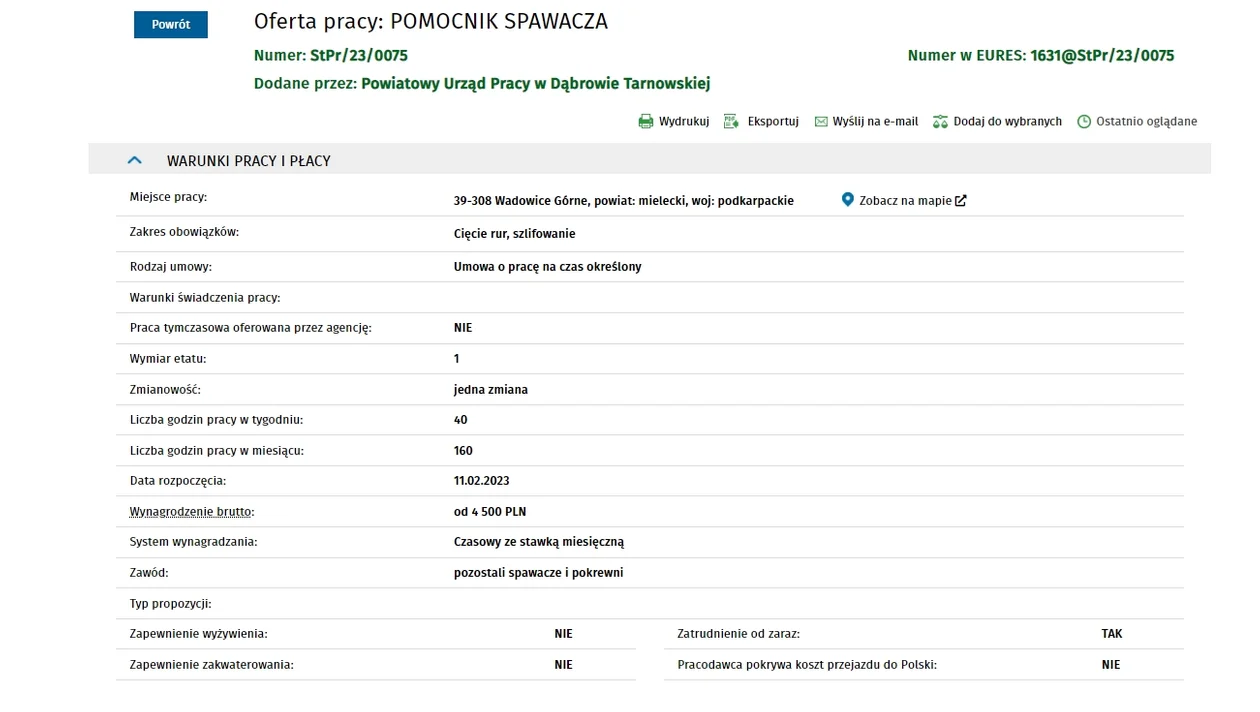 Praca na Podkarpaciu. Można zarobić nawet 15 tysięcy złotych brutto na miesiąc