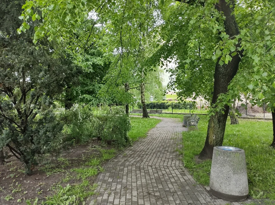 Aktualny stan terenu zielonego przy ul. Staszica