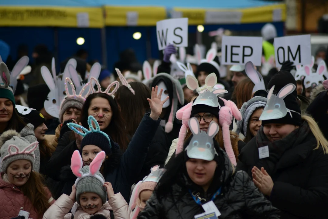 Rekord Polski dla Bartoszka Jędrasika chorego na SMA. W Tarnobrzegu zgromadziło się ponad 500 osób przebranych za króliki