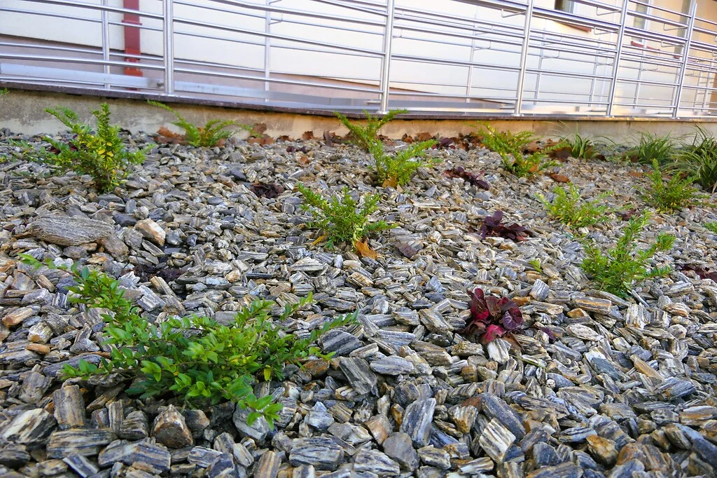 Nowy skwer przed starostwem w Kolbuszowej