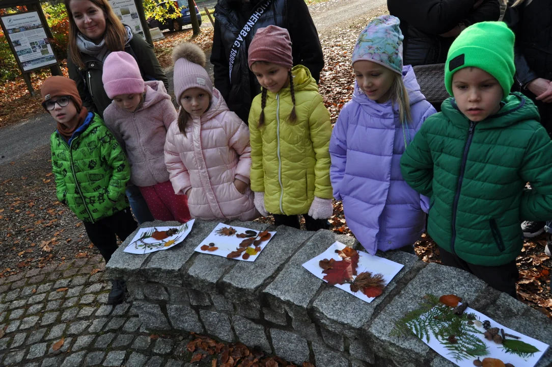 Akademia leśnych detektywów. Przedszkolaki z Mielca na leśnych zajęciach [ZDJĘCIA] - Zdjęcie główne