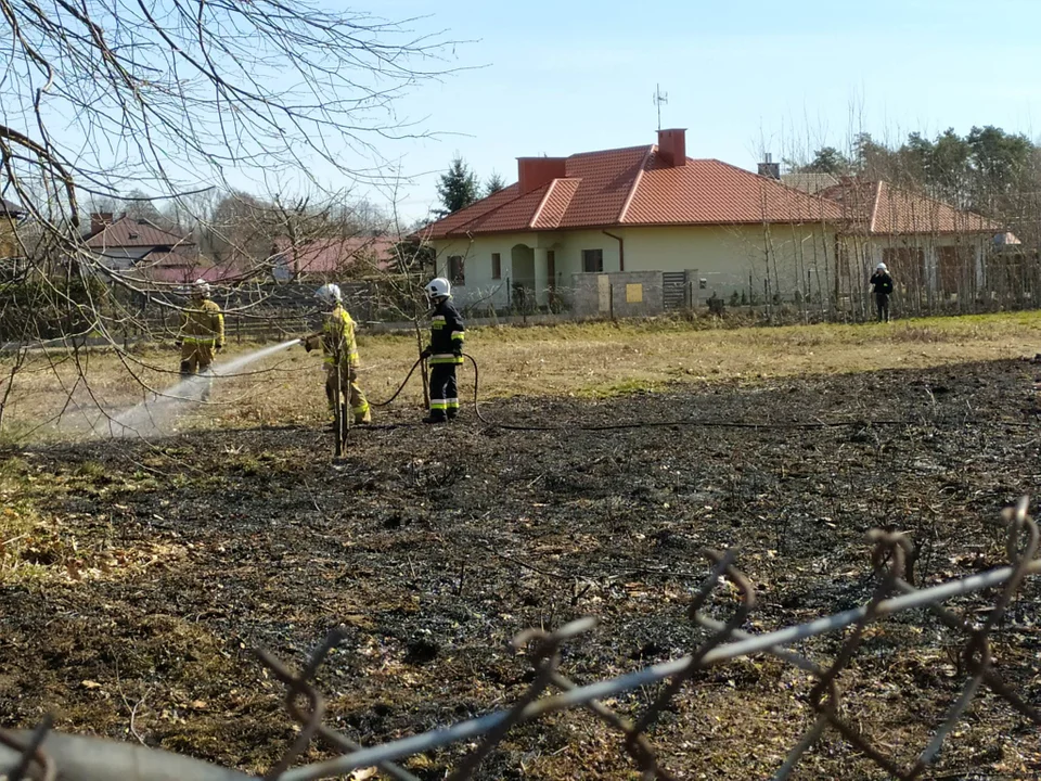 Trzy zastępy straży gasiło pożar nieużytków w Bukowcu [ZDJĘCIA] - Zdjęcie główne
