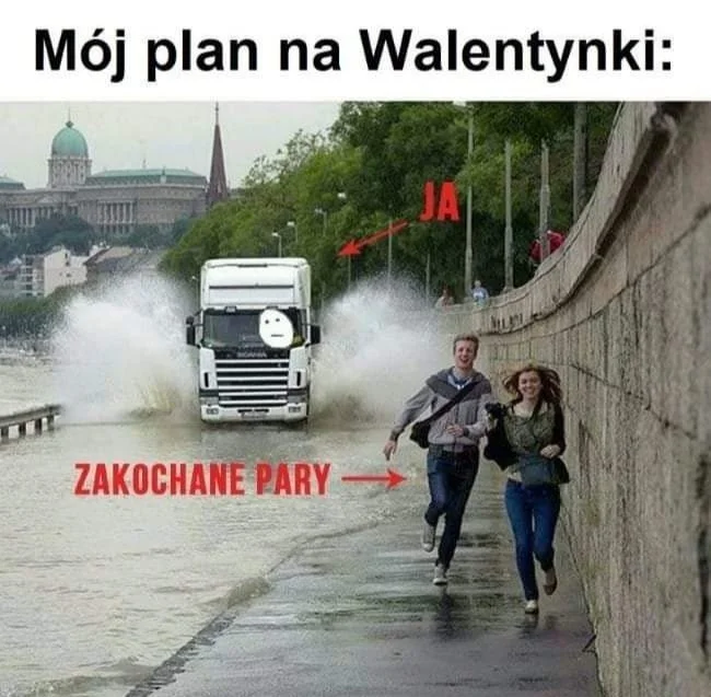 Walentynki, to czas pełen miłości, romantycznych gestów i… memów.