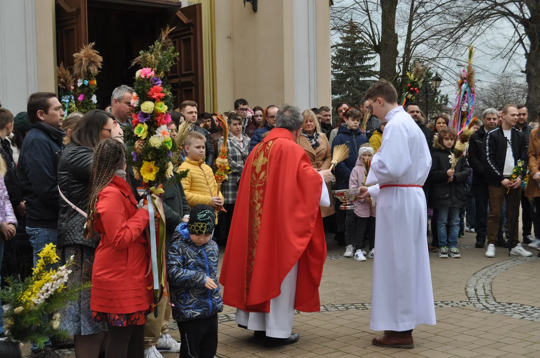 Parafianie w Przecławiu świętowali z pięknymi palmami własnego wykonania