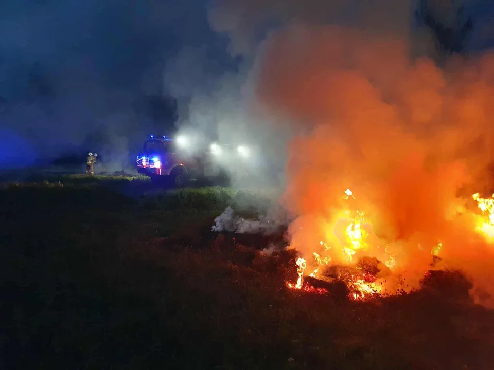 Pożar traw w regionie